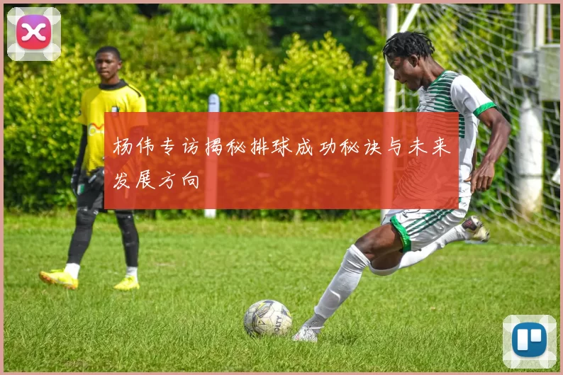 杨伟专访揭秘排球成功秘诀与未来发展方向