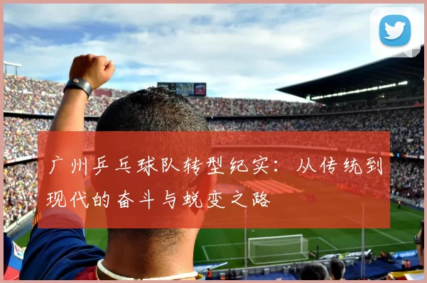 广州乒乓球队转型纪实：从传统到现代的奋斗与蜕变之路