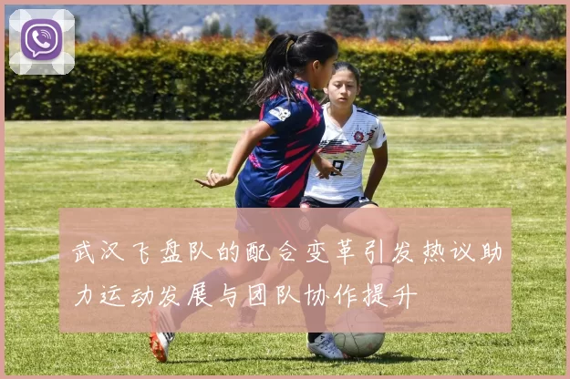 武汉飞盘队的配合变革引发热议助力运动发展与团队协作提升