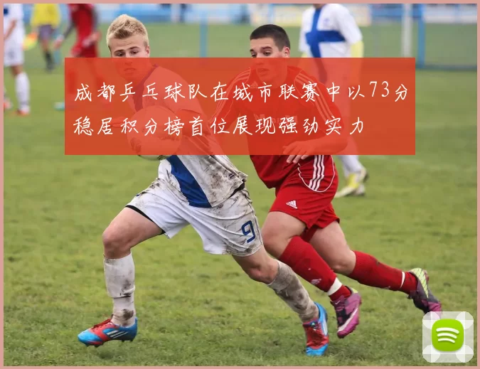 成都乒乓球队在城市联赛中以73分稳居积分榜首位展现强劲实力