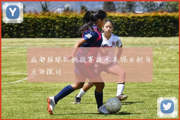 成都排球队挑战赛技术表现分析与点评探讨