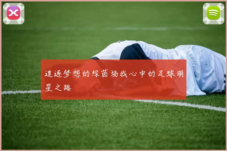 追逐梦想的绿茵场我心中的足球明星之路