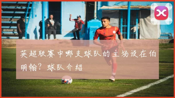 英超联赛中哪支球队的主场设在伯明翰？球队介绍