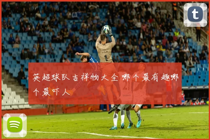 英超球队吉祥物大全 哪个最有趣哪个最吓人