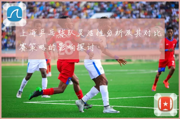 上海乒乓球队灵活性分析及其对比赛策略的影响探讨