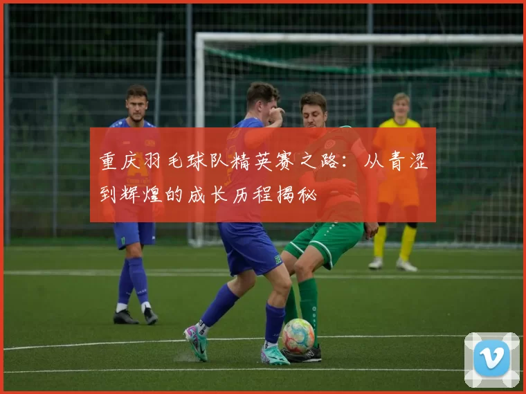 重庆羽毛球队精英赛之路：从青涩到辉煌的成长历程揭秘