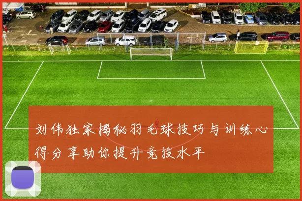 刘伟独家揭秘羽毛球技巧与训练心得分享助你提升竞技水平
