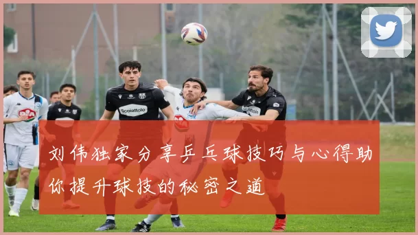 刘伟独家分享乒乓球技巧与心得助你提升球技的秘密之道