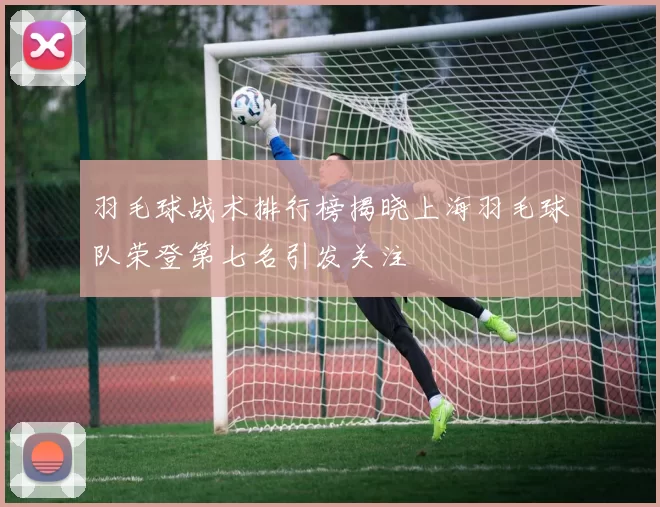 羽毛球战术排行榜揭晓上海羽毛球队荣登第七名引发关注