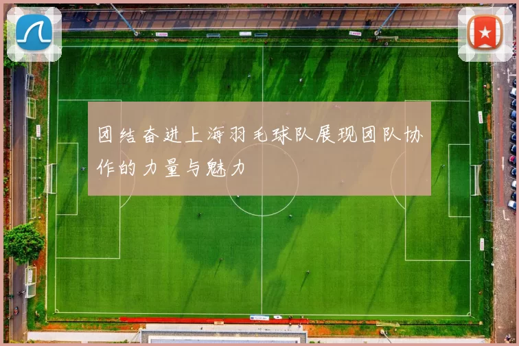 团结奋进上海羽毛球队展现团队协作的力量与魅力