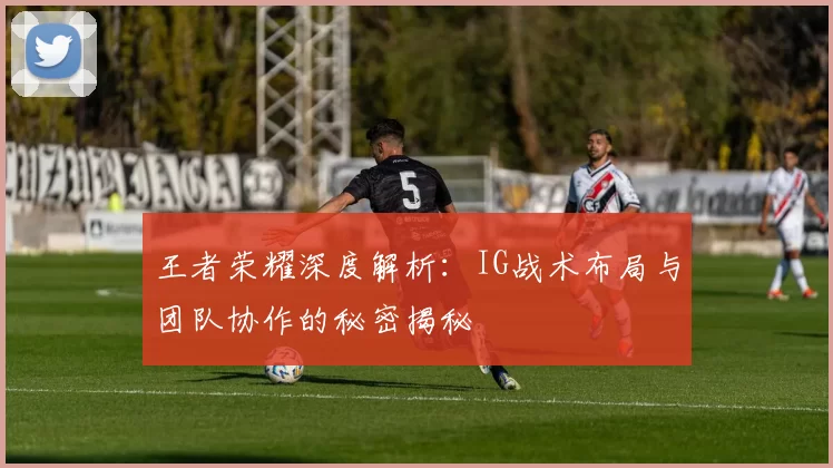 王者荣耀深度解析：IG战术布局与团队协作的秘密揭秘