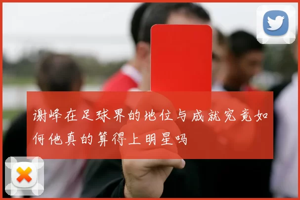 谢峰在足球界的地位与成就究竟如何他真的算得上明星吗