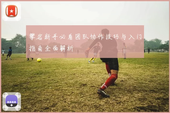 攀岩新手必看团队协作技巧与入门指南全面解析