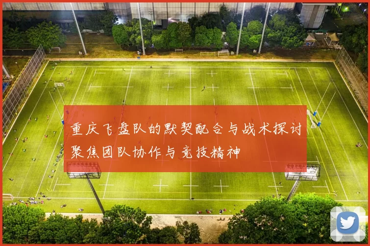 重庆飞盘队的默契配合与战术探讨聚焦团队协作与竞技精神