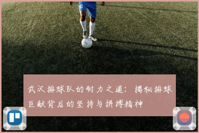 武汉排球队的耐力之道：揭秘排球巨献背后的坚持与拼搏精神