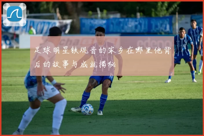 足球明星铁观音的家乡在哪里他背后的故事与成就揭秘