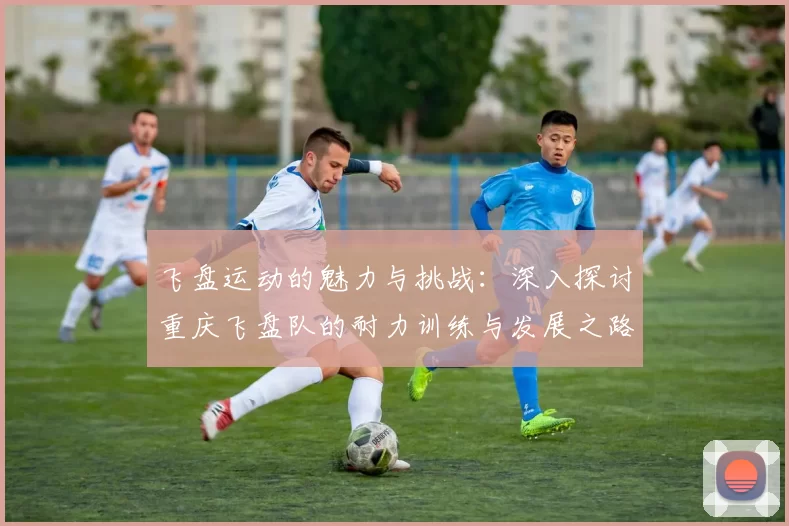 飞盘运动的魅力与挑战：深入探讨重庆飞盘队的耐力训练与发展之路